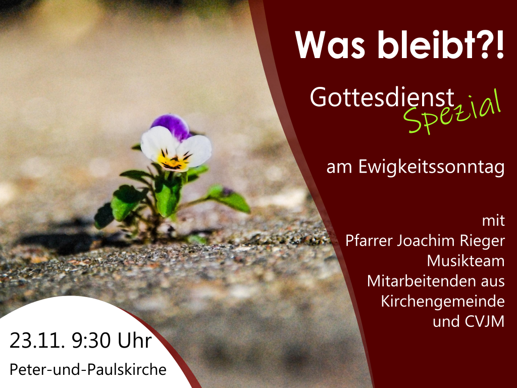 20251123 GoDi Spezial 1024x768