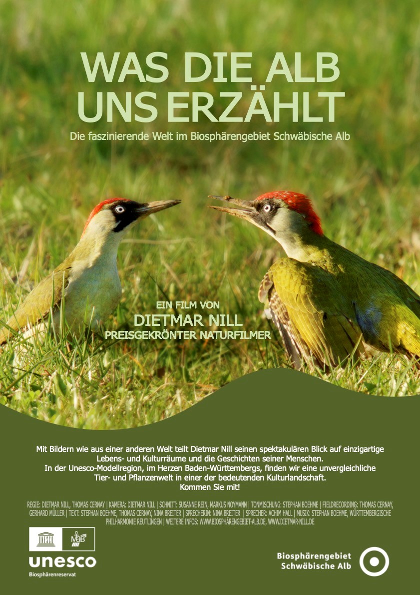 Nill Film Plakat